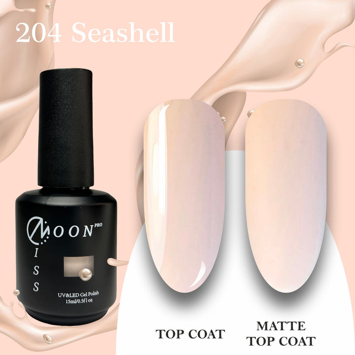 204 Seashell